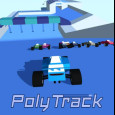 PolyTrack img