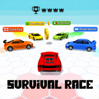 Survival Race img